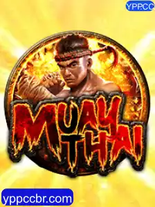 MuayThai: A Arte Marcial Tailandesa Que Está Ganhando o Mundo